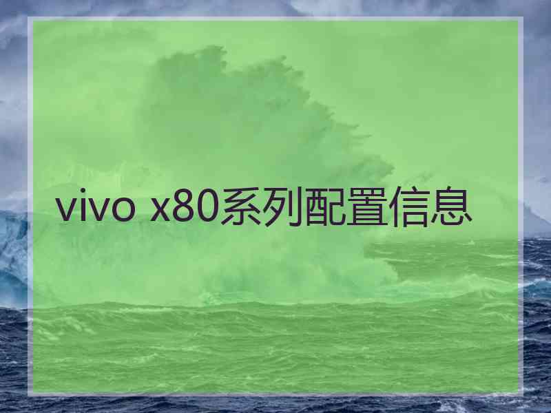 vivo x80系列配置信息