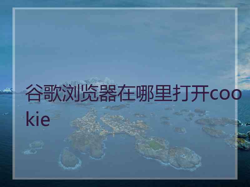 谷歌浏览器在哪里打开cookie