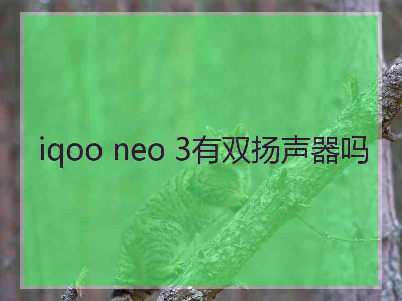 iqoo neo 3有双扬声器吗