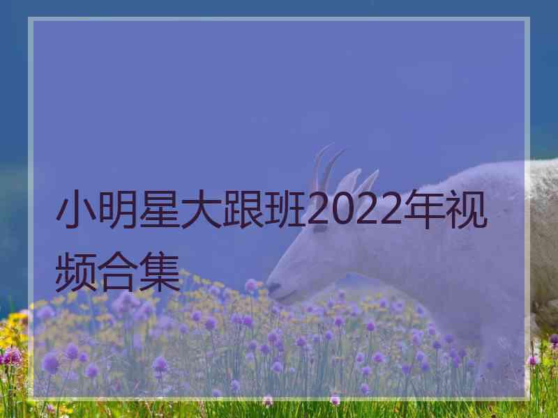 小明星大跟班2022年视频合集