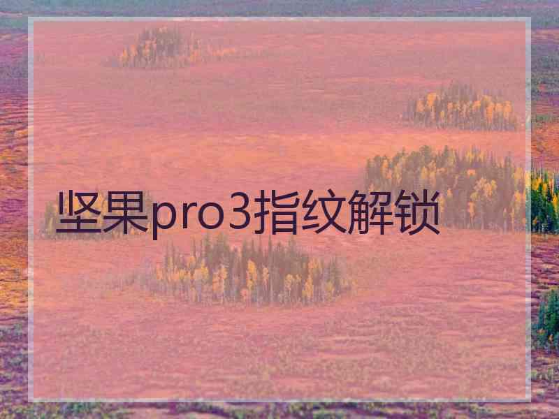 坚果pro3指纹解锁