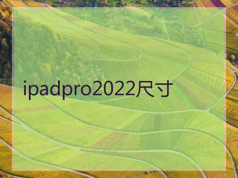 ipadpro2022尺寸