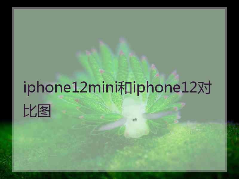 iphone12mini和iphone12对比图