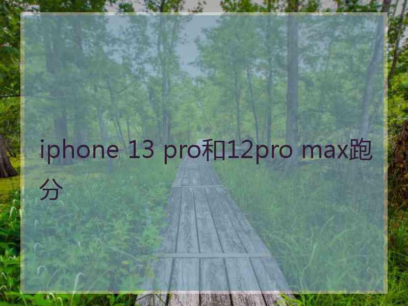 iphone 13 pro和12pro max跑分