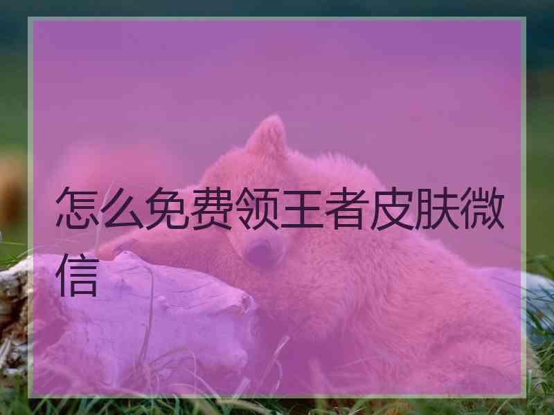 怎么免费领王者皮肤微信