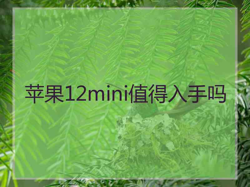 苹果12mini值得入手吗