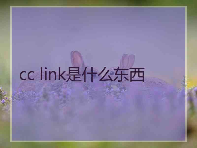 cc link是什么东西