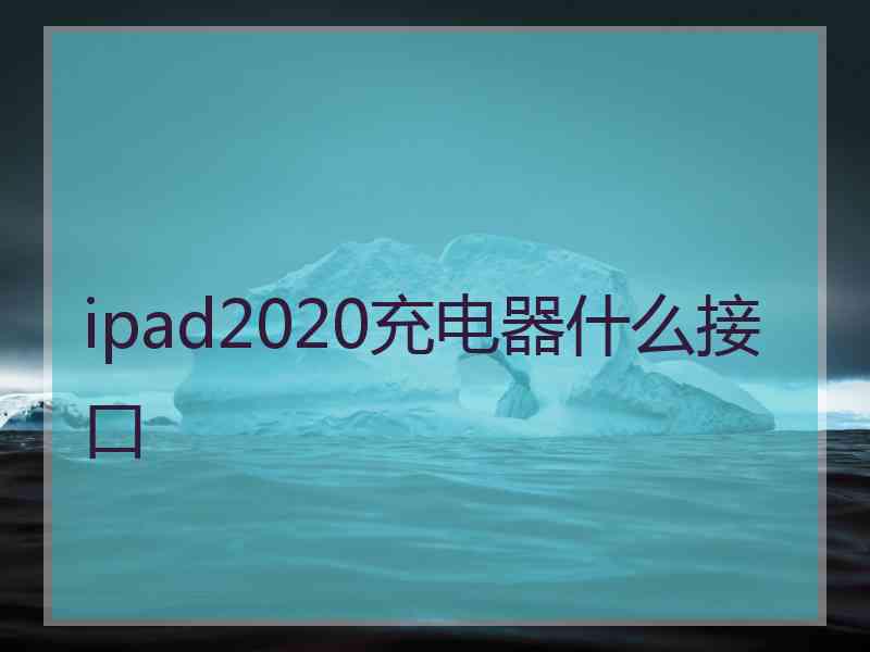 ipad2020充电器什么接口