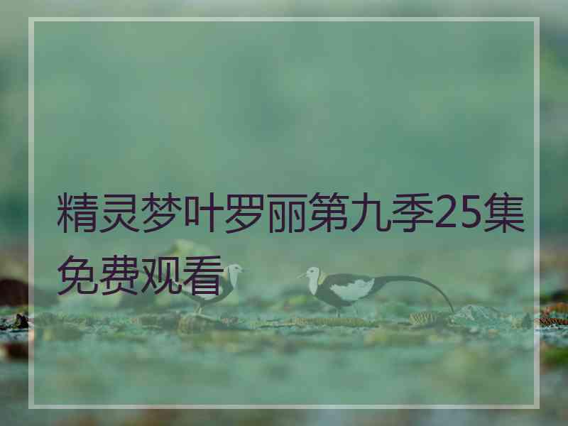 精灵梦叶罗丽第九季25集免费观看