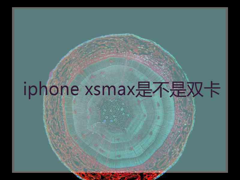 iphone xsmax是不是双卡