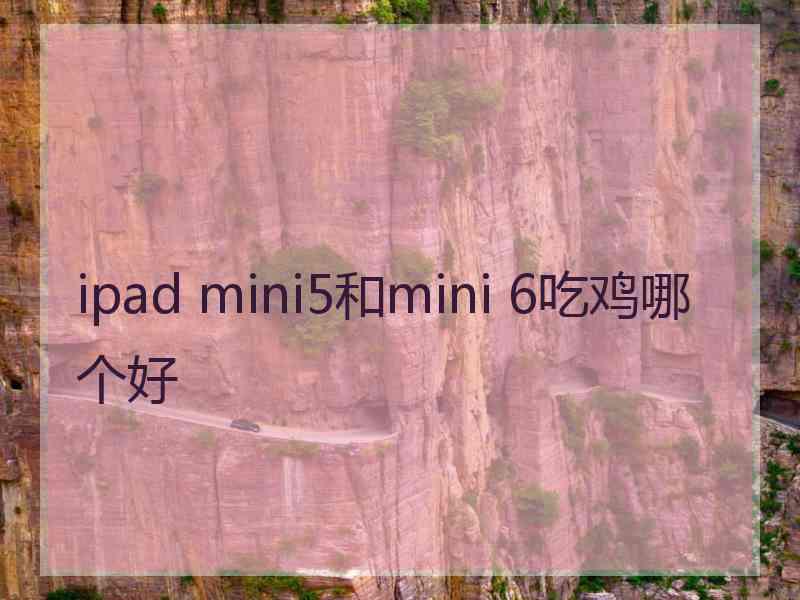 ipad mini5和mini 6吃鸡哪个好