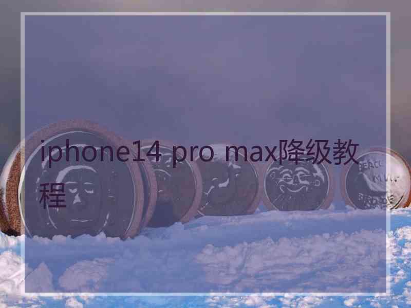 iphone14 pro max降级教程