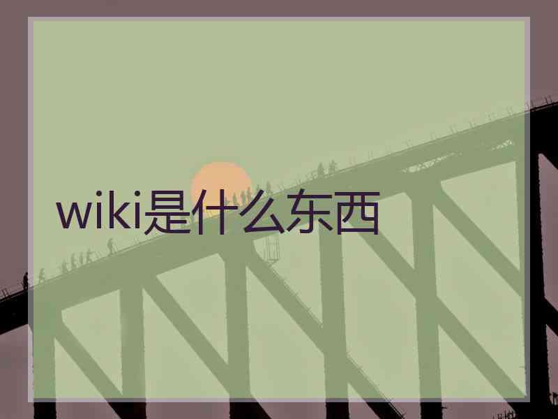 wiki是什么东西