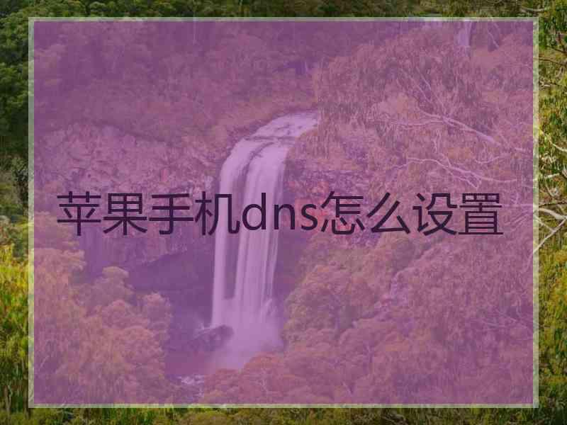 苹果手机dns怎么设置