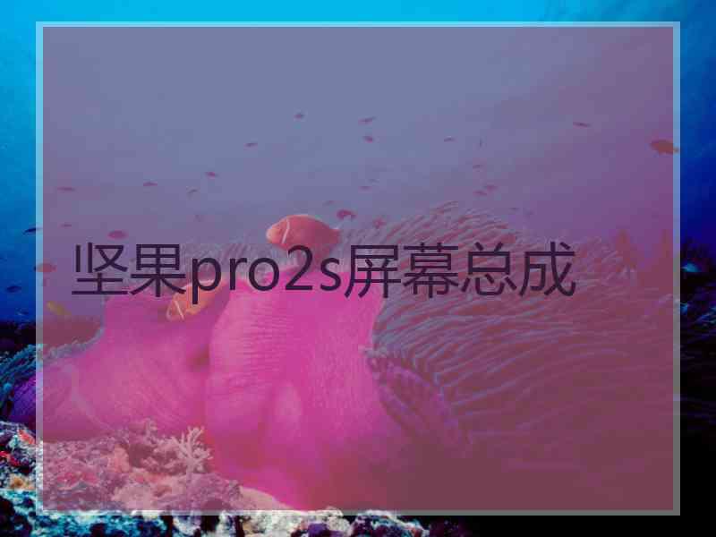 坚果pro2s屏幕总成