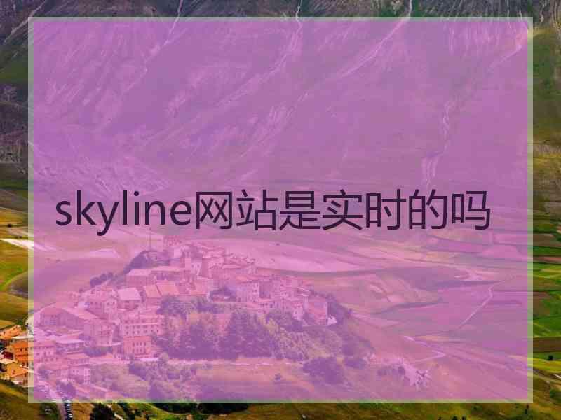 skyline网站是实时的吗