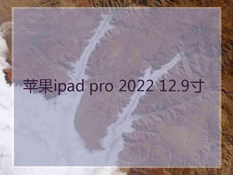 苹果ipad pro 2022 12.9寸