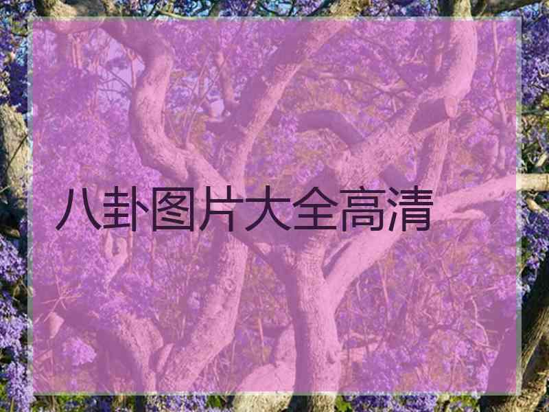 八卦图片大全高清