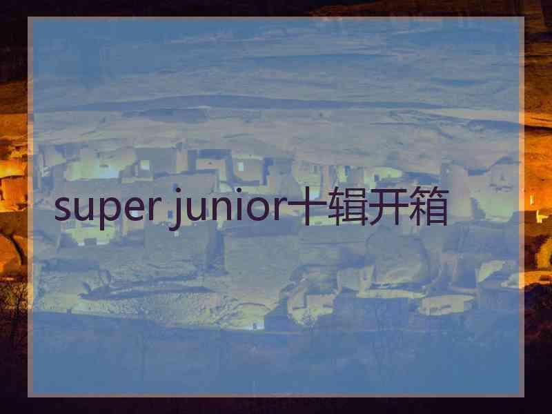 super junior十辑开箱