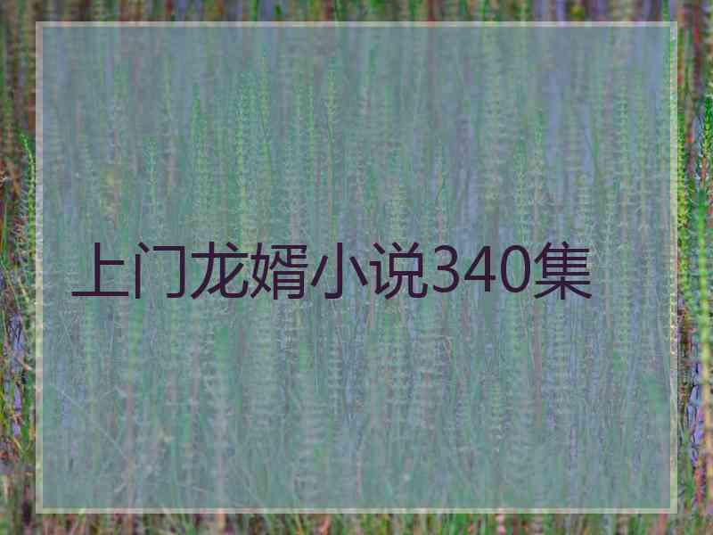 上门龙婿小说340集