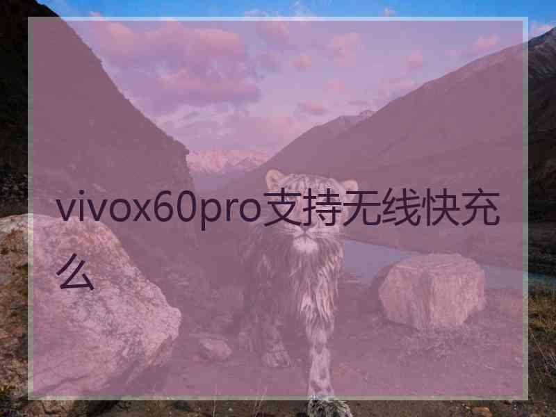 vivox60pro支持无线快充么