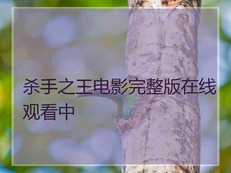 杀手之王电影完整版在线观看中