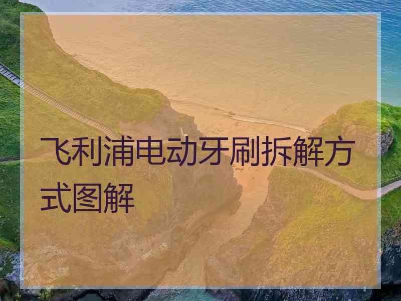 飞利浦电动牙刷拆解方式图解