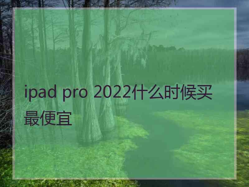 ipad pro 2022什么时候买最便宜