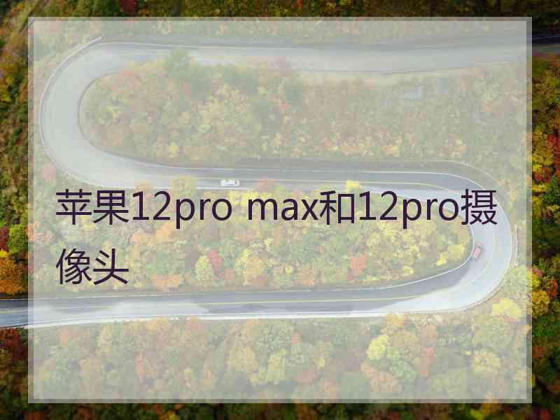 苹果12pro max和12pro摄像头