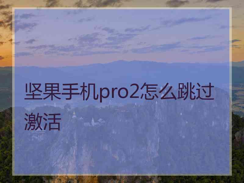 坚果手机pro2怎么跳过激活