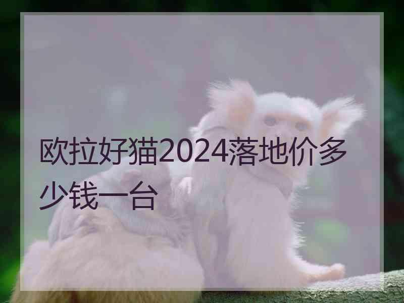 欧拉好猫2024落地价多少钱一台