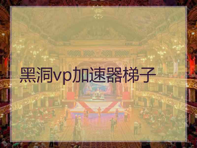 黑洞vp加速器梯子