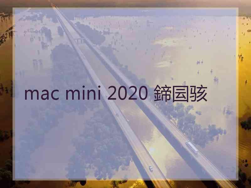 mac mini 2020 鍗囩骇