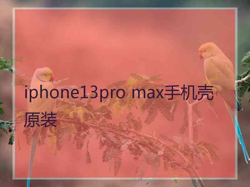 iphone13pro max手机壳原装