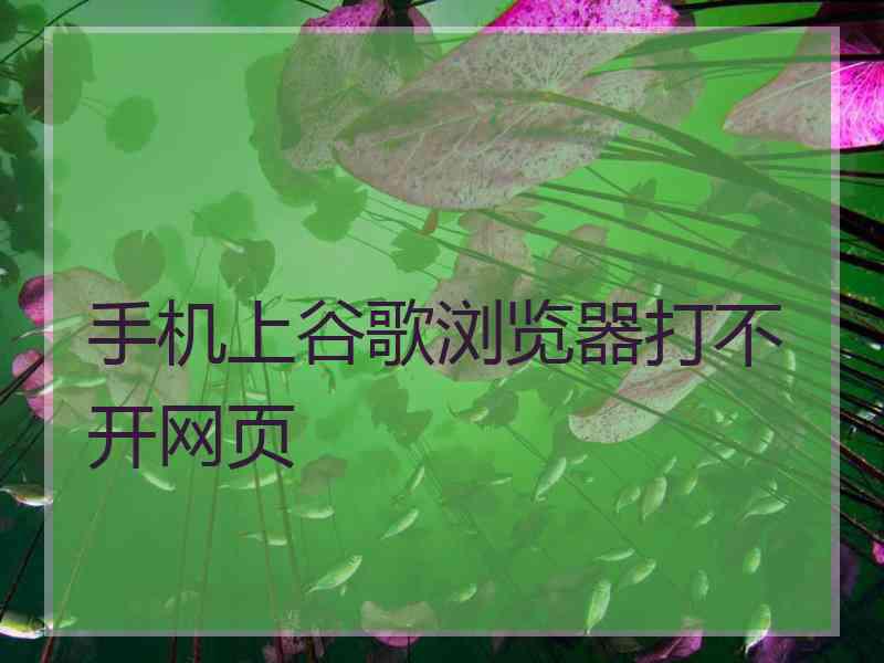 手机上谷歌浏览器打不开网页