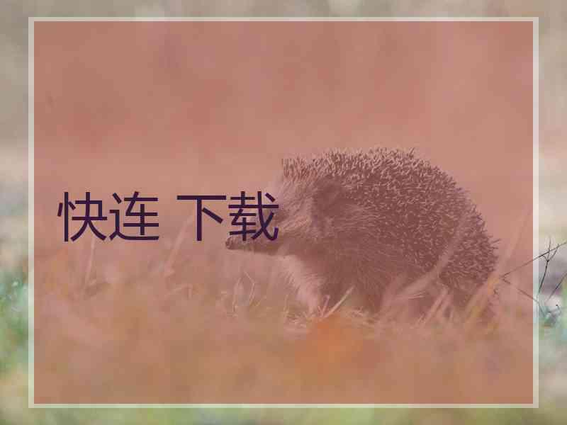 快连 下载