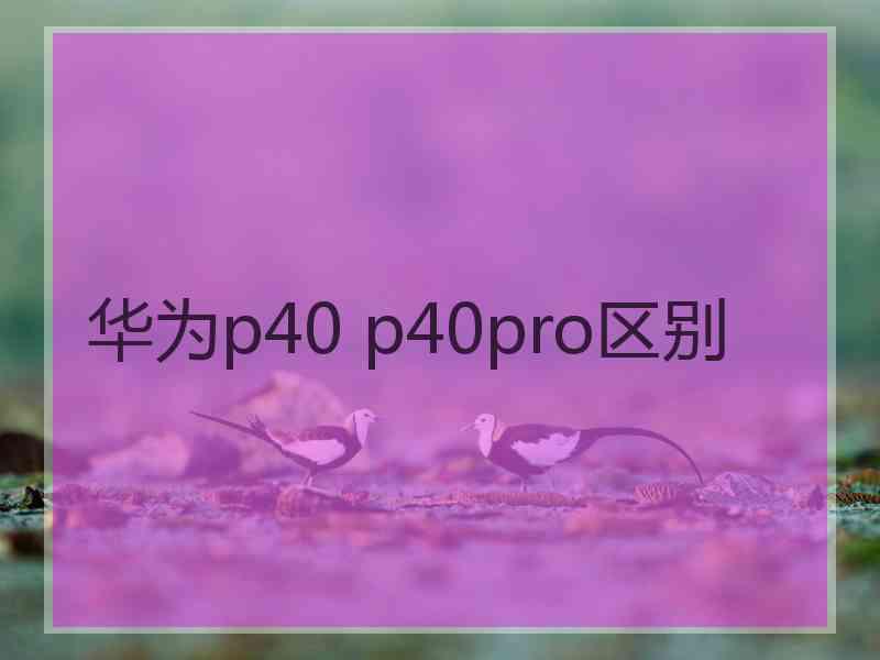 华为p40 p40pro区别