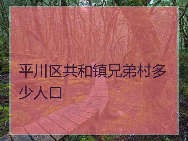 平川区共和镇兄弟村多少人口