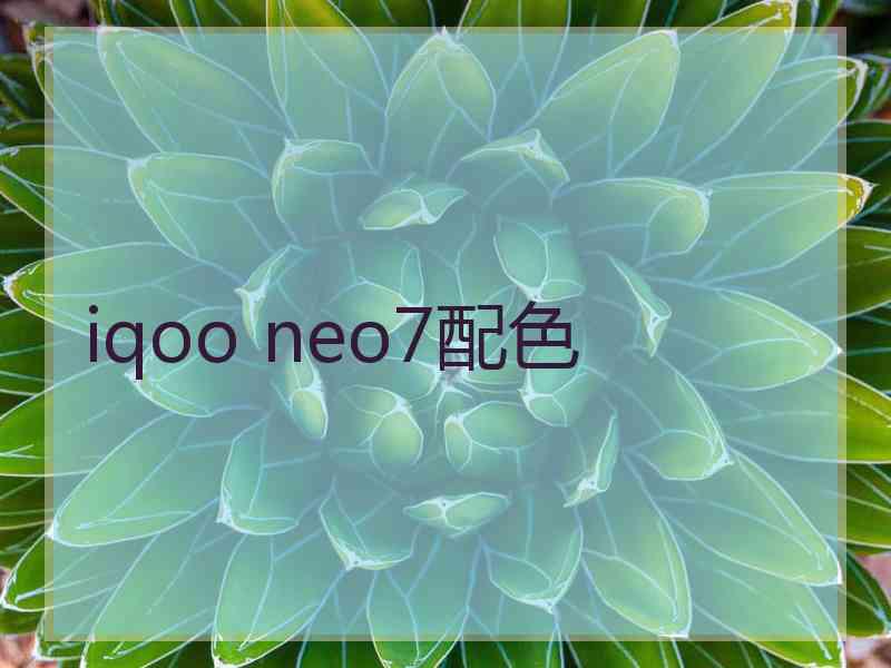 iqoo neo7配色