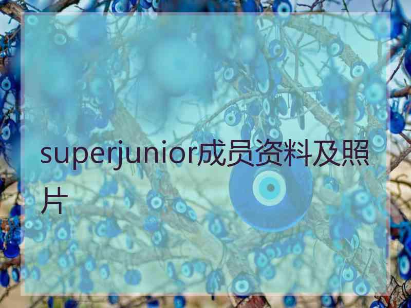 superjunior成员资料及照片