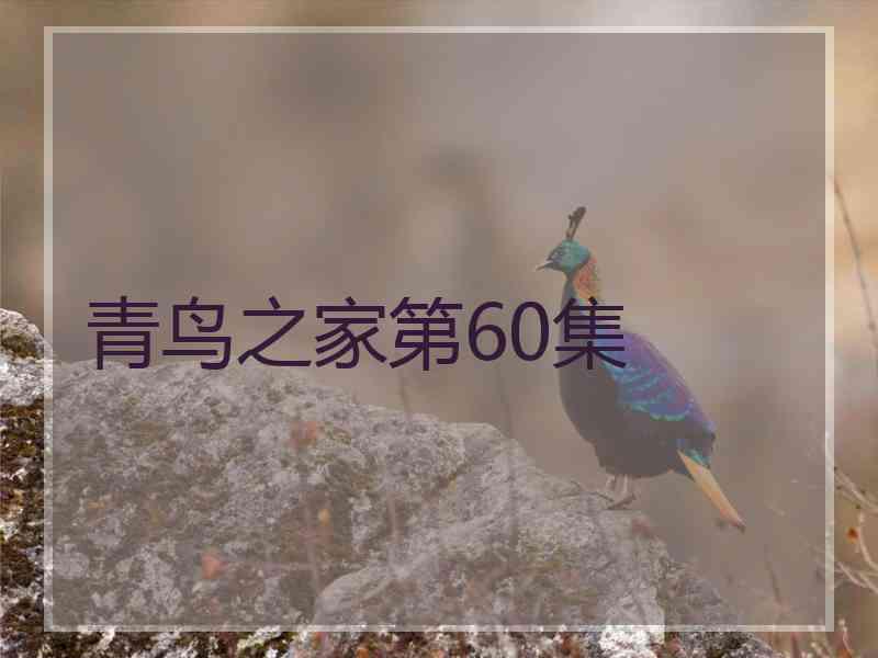 青鸟之家第60集