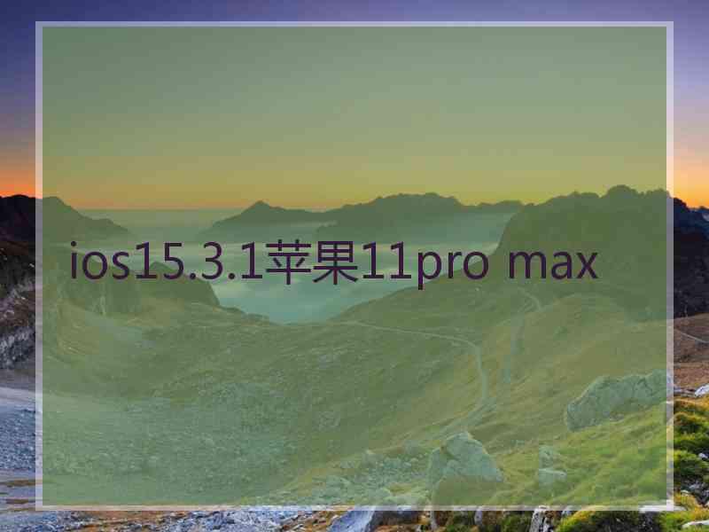 ios15.3.1苹果11pro max