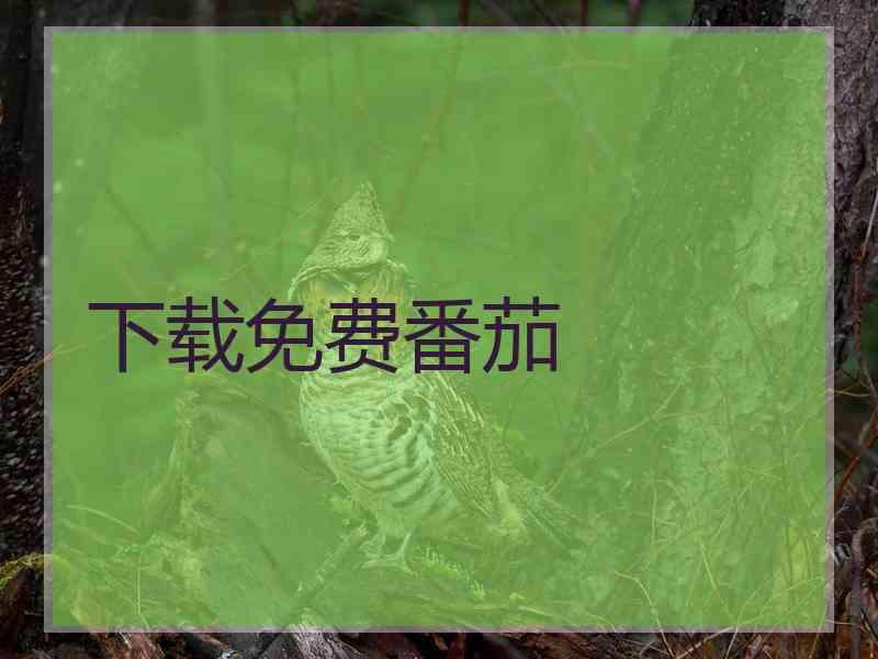 下载免费番茄