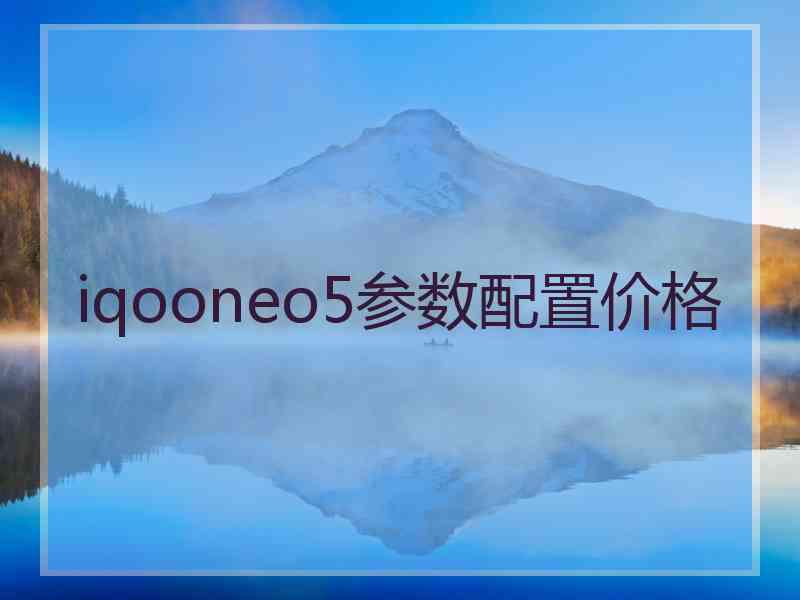 iqooneo5参数配置价格