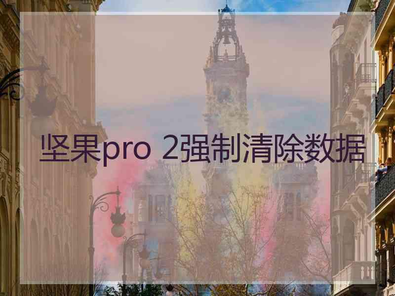 坚果pro 2强制清除数据