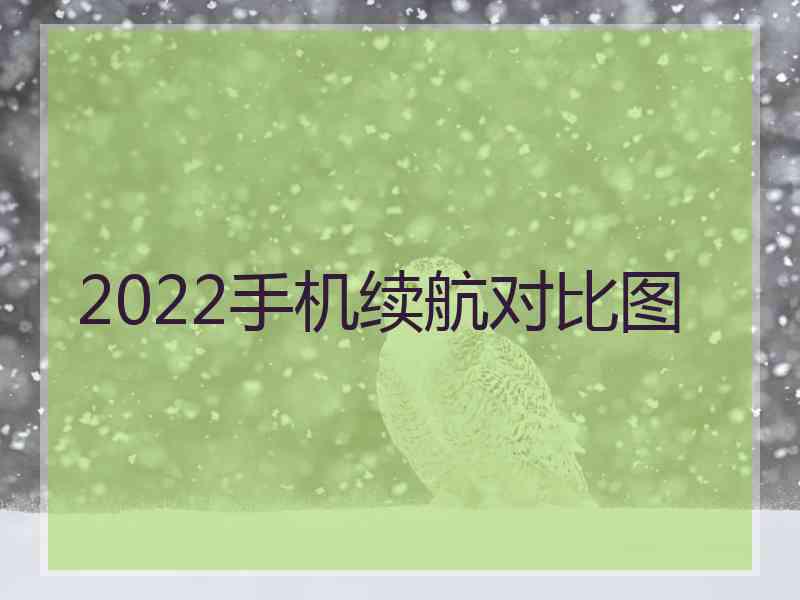 2022手机续航对比图