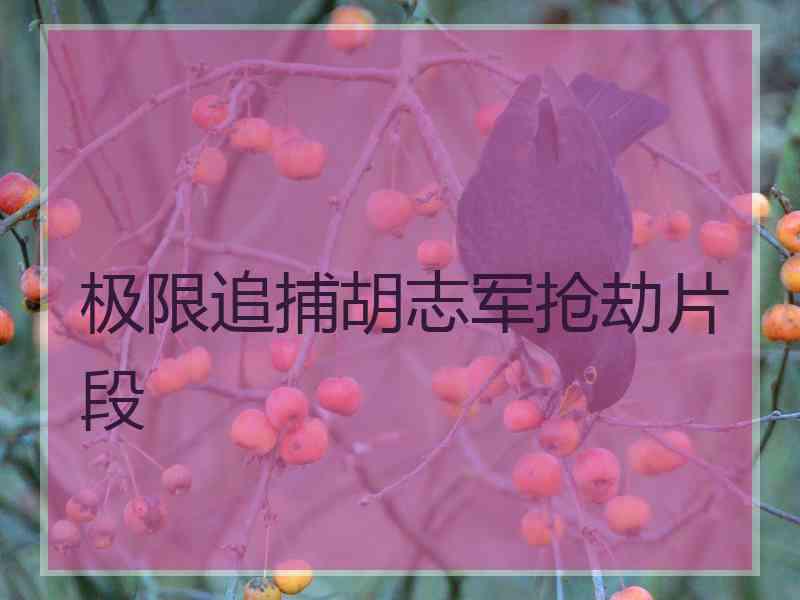 极限追捕胡志军抢劫片段