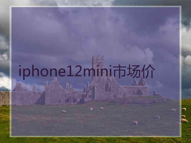 iphone12mini市场价