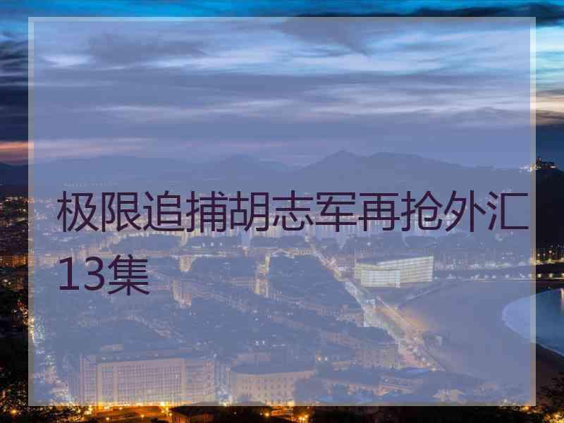 极限追捕胡志军再抢外汇13集