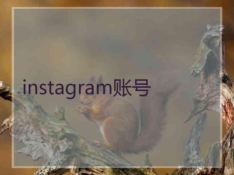 instagram账号